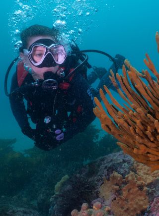A scuba diver exploring soft coral reefs, Kurnell